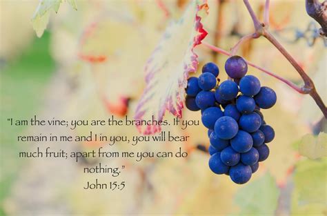 John 155 — Knit Pray Share