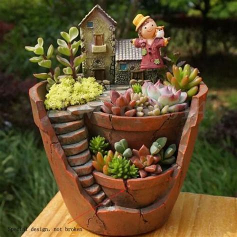 Succulent Garden Ideas Collection On Ebay