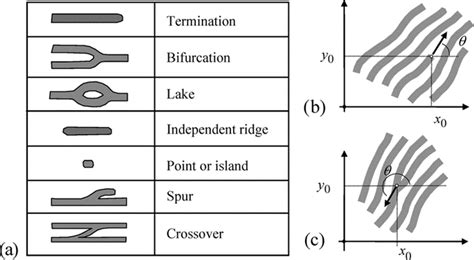 A Minutiae Types B Coordinates C Orientation Each Minutiae In The