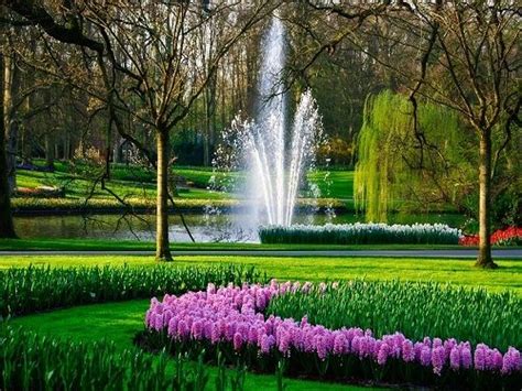 Keukenhof Hollands Most Beautiful Flower Garden Most Beautiful