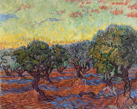 Van Gogh And The Olive Groves At The Dallas Museum Of Art