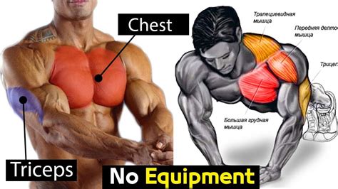 Full Exercise Bodyweight Chest Triceps Workout Youtube