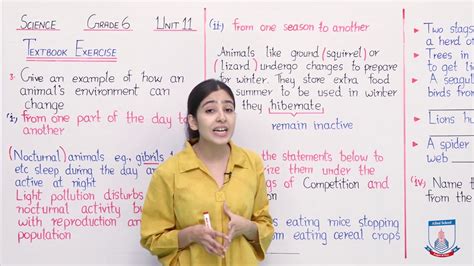 Class 6 Science Chapter 11 Lecture 59 Textbook Exercise Q 3 Allied Schools Youtube