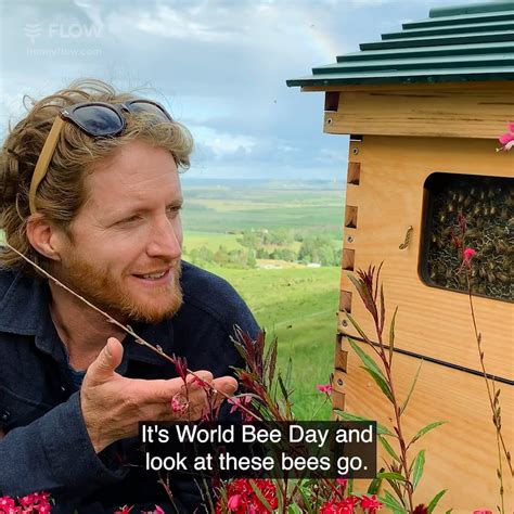 World Bee Day 2022 On Vimeo