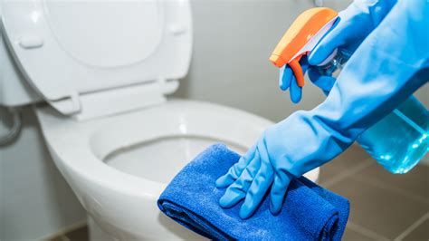 Heres How Often You Need To Clean Your Toilet Seats