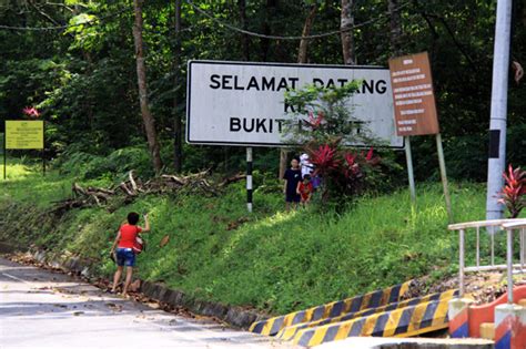 Située à 1 035 m d'altitude, bukit larut, ou maxwell hill, est aujourd'hui la plus petite, la plus rustique et la moins chère de toutes les stations de montagne. Bukit Larut (Maxwell Hill) | Attractions | Wonderful Malaysia