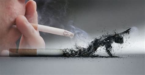 Penyakit Akibat Merokok Beserta Gambarnya Bendebesahcom