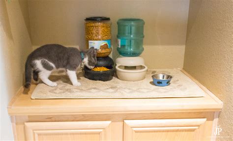 My friend lives alone and spends a lot of time at work. How to set up a DIY cat food station