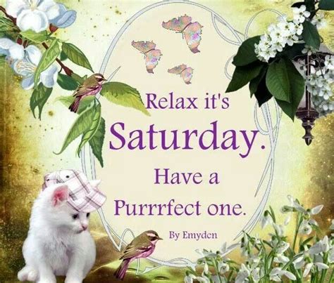Relax Its Saturday Have A Purrrfect One Pictures Photos And Images