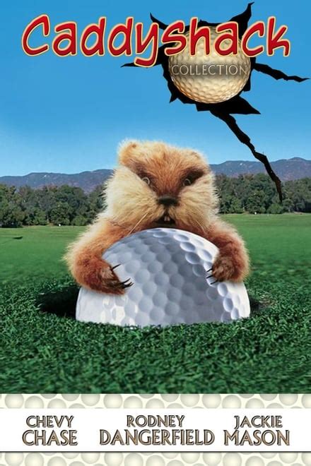 Caddyshack Collection Posters — The Movie Database Tmdb
