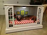 Pictures of Nice Beds For Dogs