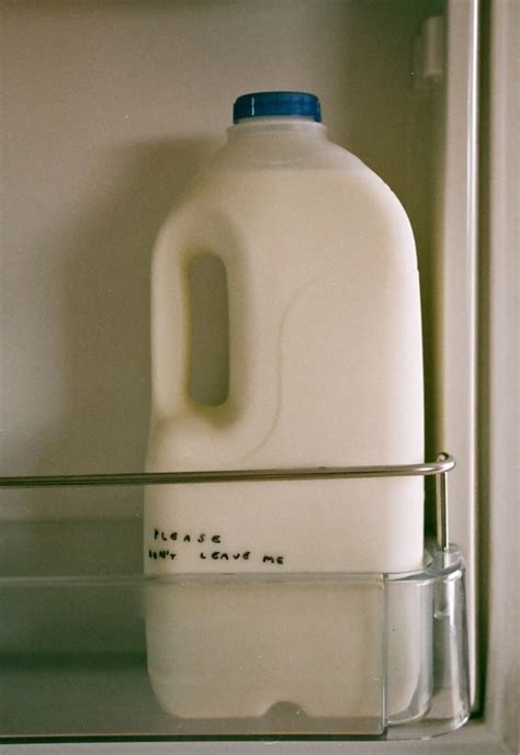 Milk Aesthetics Wiki Fandom Aesthetic Photo Photography