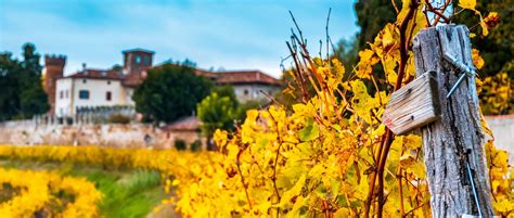 Friuli-Venezia Giulia Wine Region Guide » CellarTours