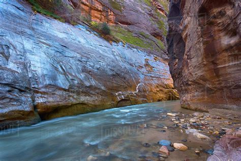 Usa Utah Zion National Park The Narrows Of The Virgin River Stock