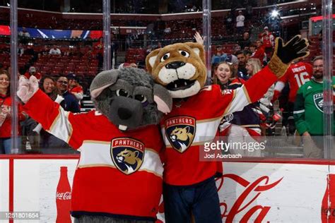 Florida Panthers Mascot Photos And Premium High Res Pictures Getty Images