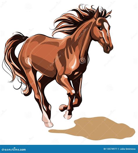 Running Horse Stock Vector Illustration Of Strength 13574977