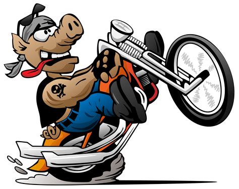 Biker Hog Popping Un Wheelie Sur Une Illustration De Vecteur Pour Le