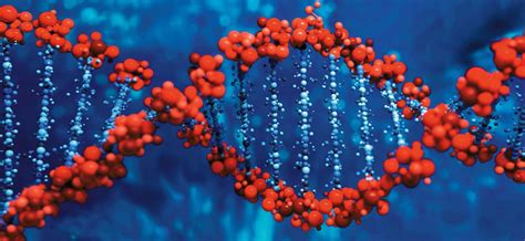 Gènes Lépigénétique Signe La Fin Du Tout Adn Science Et Vie
