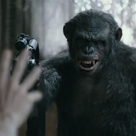 dawn of the planet of the apes 2022 trailer