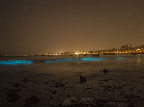 Mumbais Juhu Beach Is Glowing Fluorescent In The Dark Once Again And It