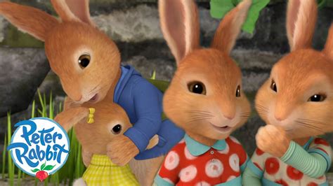 Officialpeterrabbit Peter And His Siblings 💛💛💛💛 National Siblings Day