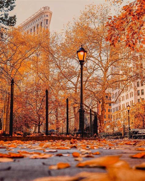 Hd Nyc Autumn Wallpapers Wallpaper Cave
