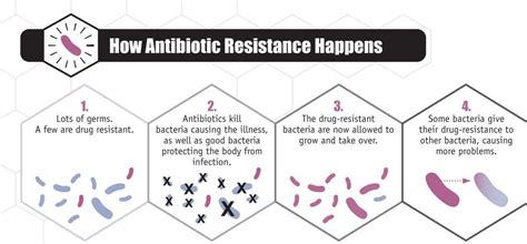 Learn what fda is doing to address amr. Antibiotic Awareness Week: What you should know about ...