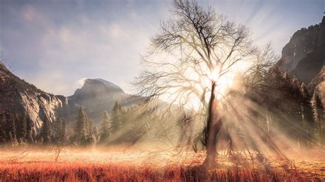 Fondos De Pantalla Bosque Naturaleza Rayos De Sol Luz De Sol