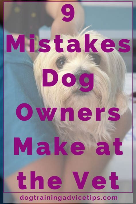 9 Mistakes Dog Owners Make At The Vet Dog Training Advice Tips Dog