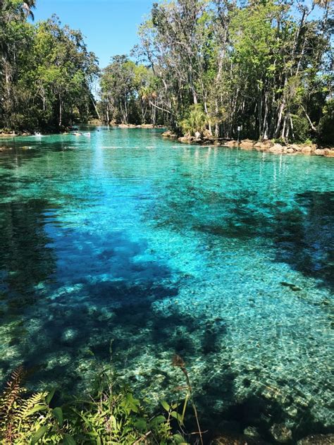 Three Sisters Springs In Crystal River Beautiful Nature Pictures