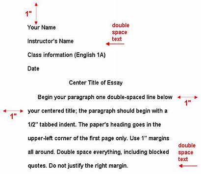 Mla Format Paper Research Essay English College