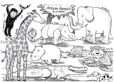 African Safari Animals Easy African Animal Coloring Pages Clip Art