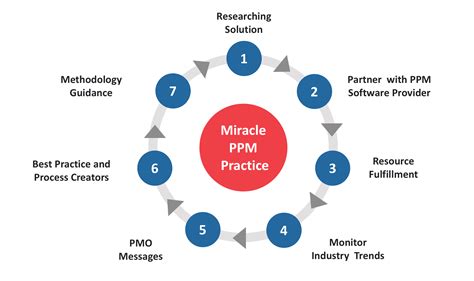 Portfolio Project Management Solutions Miracle