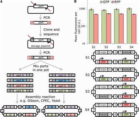 Overlap Directed Assembly Of Dna Parts By Addition Of Modular Linker