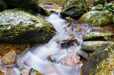 Mountain Stream Stock Photo Image Of Stone Watercourse 39690434