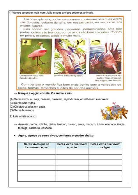 Atividades de Ciências Os seres vivos no meio ambiente Atividades Fácil Atividades de