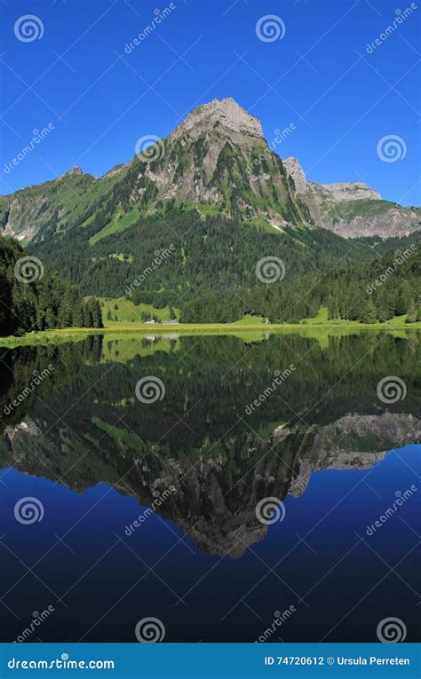 Mt Brunnelistock Que Duplica En El Lago Obersee Foto De Archivo