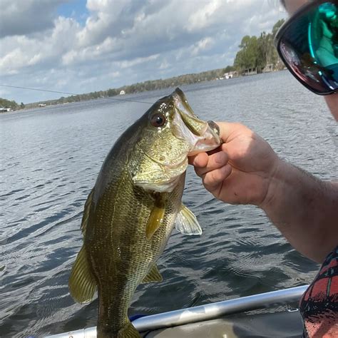 Juniper Lake Fishing Reports🎣 Niceville Fl United States Fishing