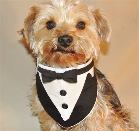 Dog Tuxedo Dog Wedding Suit Wedding Dog Clothes Dog Wedding