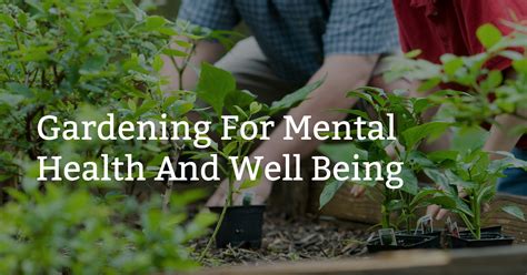 Gardening For Mental Health And Well Being Barossa Nursery