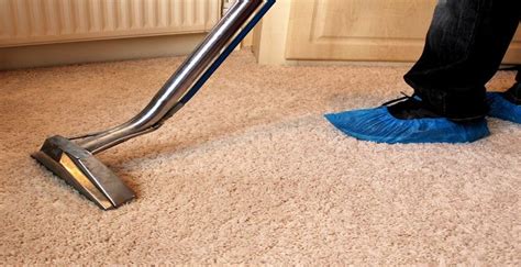 Top 5 Reasons Why You Should Choose Carpet Cleaning Services The