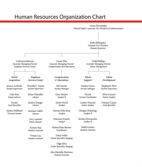 human resources organizational chart 6 free templates