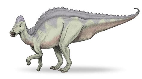 Hypacrosaurus Cool Dino Facts Wiki Fandom Powered By Wikia
