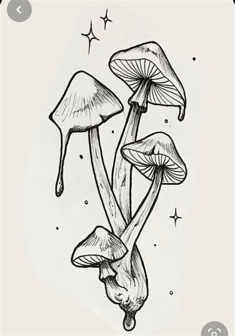 240 Radiant Mushroom Tattoos Ideas And Designs 2023 Tattoosboygirl