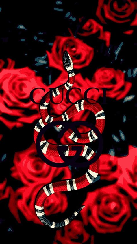 Roses Of Gucci Snake Hypebeast Iphone Wallpaper Snake Wallpaper
