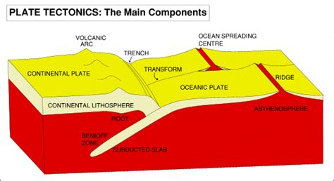 Themes of the introduction to earthquakes are the nature of seismic waves. Plate Tectonics: Geological Aspects