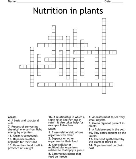 Nutrition In Plants Crossword Wordmint