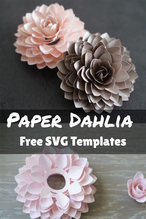 Paper Dahlia Template Domestic Heights