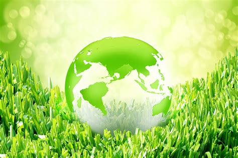 Viewfinder Challenge #3: Think Green: Sustainability and Your ...