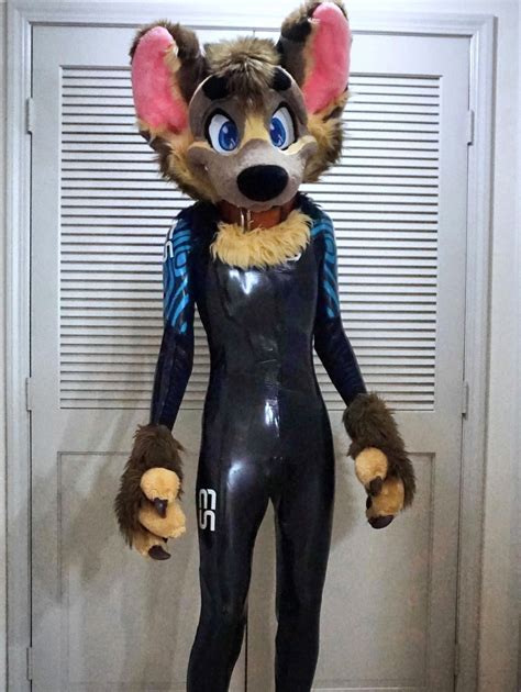 Pin On Fursuit And Murrsuit
